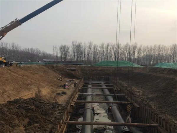 2021�R������